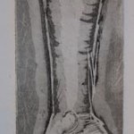 Dancer's leg, 2011 intaglio