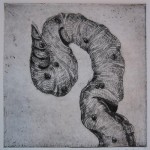 Tubeworm, 2011 intaglio