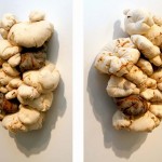 Bunch (detail), 2011